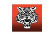 wireready_12-03-2022-04-16-03_00047_melbournebearkatz