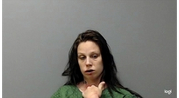Woman involved in altercation with family pleads - Vimarsana News