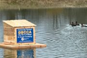 wireready_12-21-2022-11-44-03_00002_duckhouse122022