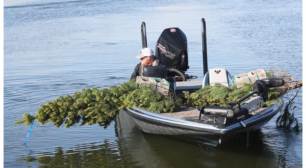 Game and Fish: Christmas trees can be donated for fish habitat - Vimarsana News