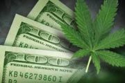 wireready_12-28-2022-11-34-22_00036_marijuanaandmoney