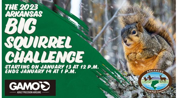 AGFC hosting 2nd annual 'Big Squirrel Challenge' - Vimarsana News