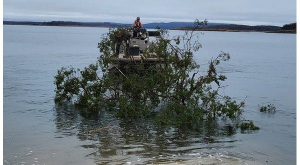 wireready_01-23-2023-11-04-13_00024_fishhabitatagfc
