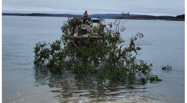 AGFC bolsters fish habitat in Bull Shoals Lake - Vimarsana News
