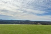 wireready_03-05-2023-12-34-04_00053_naborslandfill