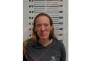 wireready_04-18-2023-10-08-21_00038_jessicalynnsnowmugshot