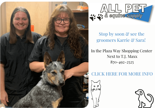 Meet Karrie & Sara @ All Pet! - Vimarsana News