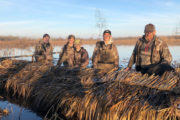 wireready_04-29-2023-11-48-03_00001_arkansasduckseason