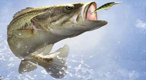 North Central Board of Realtors to hold Special Olympics Fishing Derby - Vimarsana News