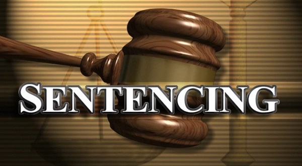 Project manager sentenced for false statements regarding lead contamination at city park - Vimarsana News