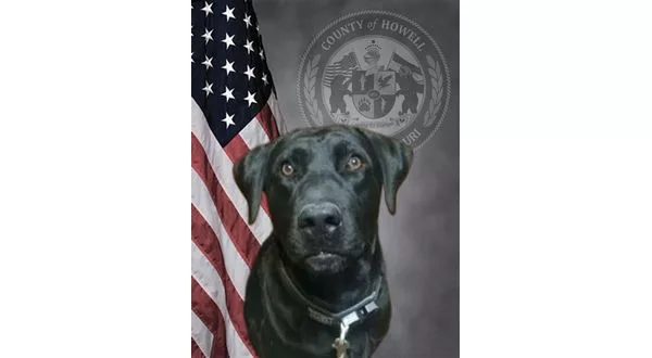 wireready_07-09-2023-11-24-05_00029_howellcok9otis