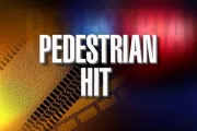 wireready_08-14-2023-21-02-04_00005_pedestrianhit