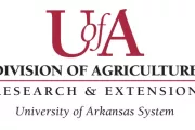 wireready_08-25-2023-10-12-05_00022_uofadivisionofagricultureresearchandextension