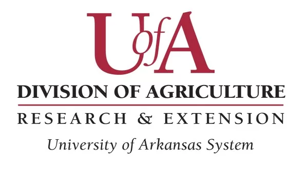 wireready_08-25-2023-10-12-05_00022_uofadivisionofagricultureresearchandextension