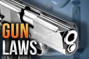 wireready_08-25-2023-10-16-05_00005_gunlaws