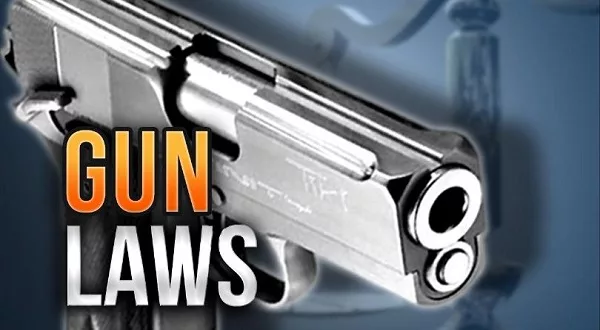 wireready_08-25-2023-10-16-05_00005_gunlaws