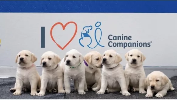 wireready_09-15-2023-09-32-05_00082_caninecompanions