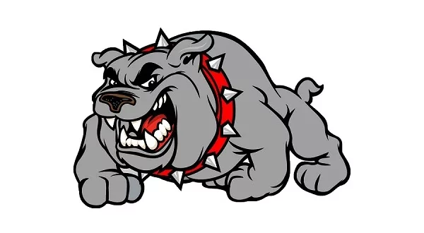 wireready_09-22-2023-10-24-05_00001_gainesvillebulldognew