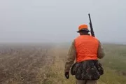 wireready_11-09-2023-11-14-04_00011_hunting