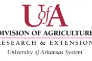 wireready_11-22-2023-11-14-32_00013_uofadivisionofagricultureresearchandextension