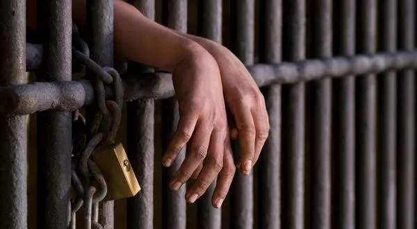 wireready_11-30-2023-17-02-05_00083_prisonsentence1