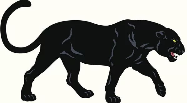 wireready_12-16-2023-10-44-05_00022_norforkpanthers
