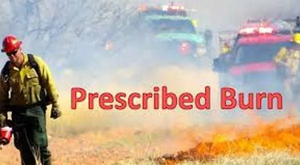 wireready_02-04-2024-12-38-03_00107_prescribedburn