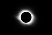 wireready_02-19-2024-11-18-03_00040_solareclipse