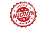 wireready_05-11-2024-11-20-07_00012_auction2