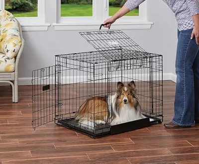dog-crate-6