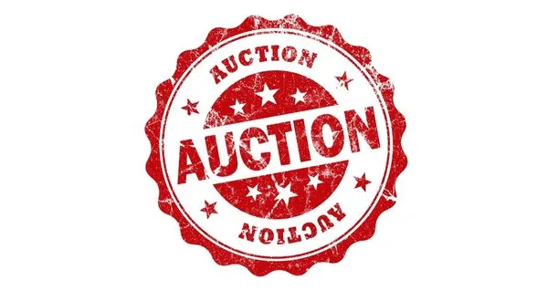 wireready_08-10-2024-11-26-12_00004_auction2