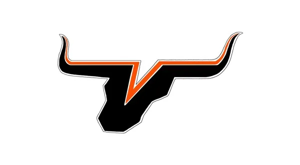 wireready_08-21-2024-10-10-12_00084_newviolapublicschoolslogousethisone