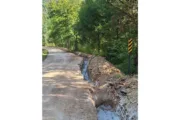 wireready_08-27-2024-10-10-05_00128_buffaloriversteelcreekroad