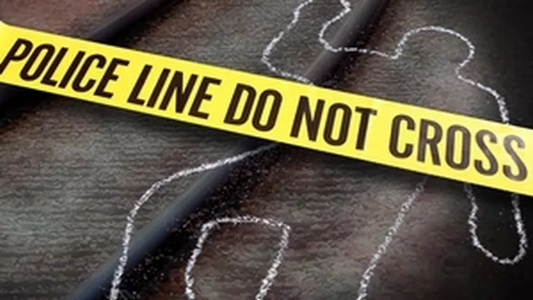 wireready_09-29-2024-11-52-03_00021_pedestriankilled