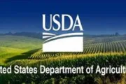 wireready_10-03-2024-15-28-04_00022_usda2