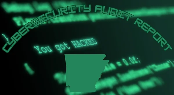 wireready_10-16-2024-15-26-04_00025_cybersecurityauditreport