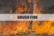 wireready_10-30-2024-17-22-04_00013_brushfire