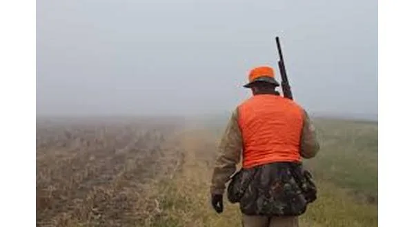 wireready_11-08-2024-18-56-03_00046_hunting