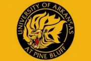 wireready_11-17-2024-07-02-03_00079_uapb