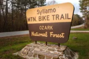 wireready_11-18-2024-11-22-04_00001_syllamomountainbiketrail