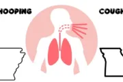wireready_11-20-2024-16-44-03_00088_whoopingcough