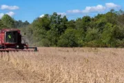 wireready_12-26-2024-15-32-03_00289_farmerharvestingsoybeans