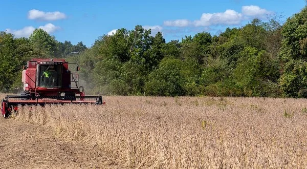 wireready_12-26-2024-15-32-03_00289_farmerharvestingsoybeans