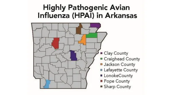 wireready_01-14-2025-20-34-04_00003_arkansasbirdflumap