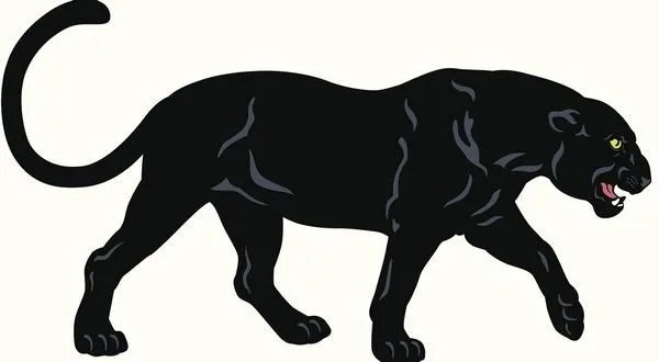 wireready_01-31-2025-10-44-04_00056_norforkpanthers