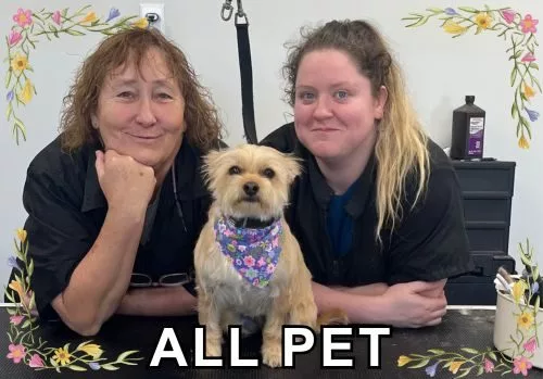 allpet-6