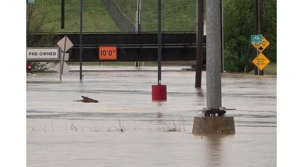 wireready_04-05-2025-23-54-03_00033_westplainsflooding