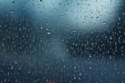 wireready_04-06-2025-11-22-03_00037_rain