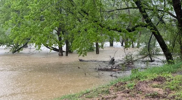 wireready_04-06-2025-19-56-03_00033_bcflooding
