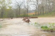 wireready_04-10-2025-10-18-03_00033_mccabetrailflood